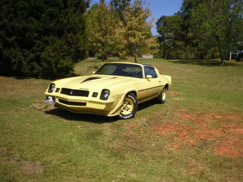 My 79 Camaro Z28 progress and paint