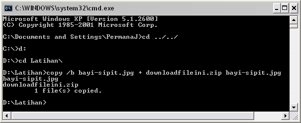 command prompt