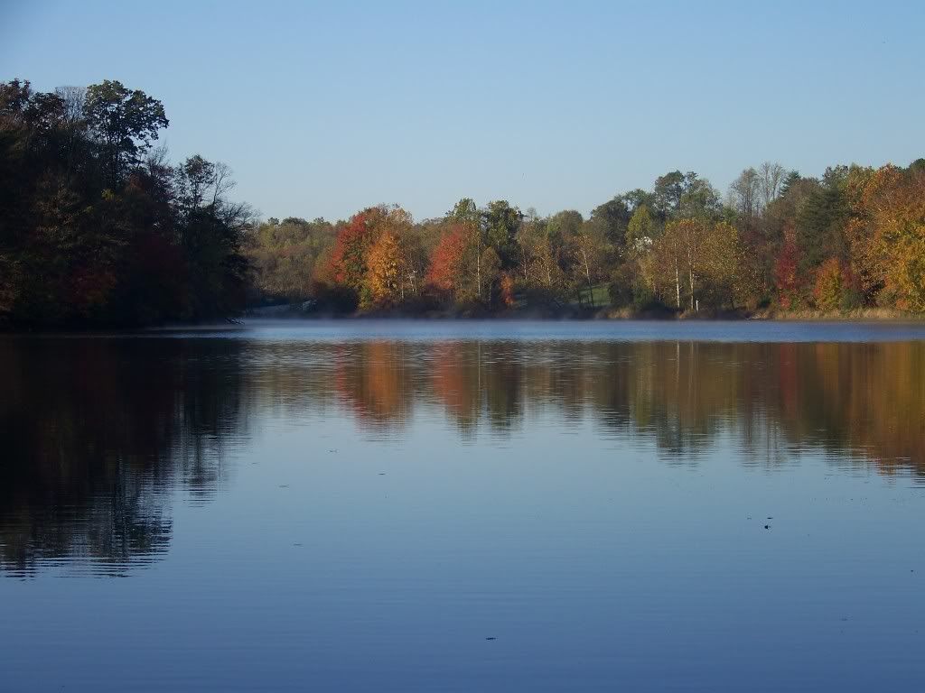 Share your Indiana photos here! (Indianapolis, Marion counties, winter