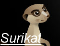 Surikat Avatar