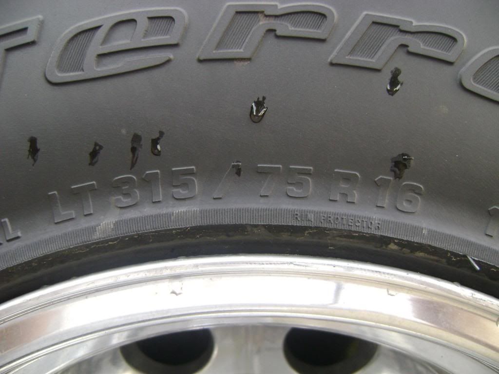 tire1.jpg