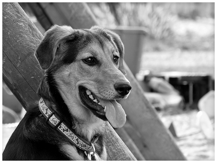 IMAGE: http://i264.photobucket.com/albums/ii168/brideofdrkness/Photography/IMG_2319-1.png