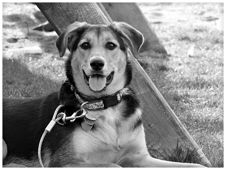 IMAGE: http://i264.photobucket.com/albums/ii168/brideofdrkness/Photography/IMG_2334-1.png