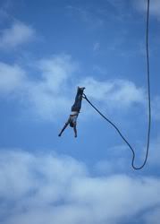 bungee jump2 Pictures, Images and Photos