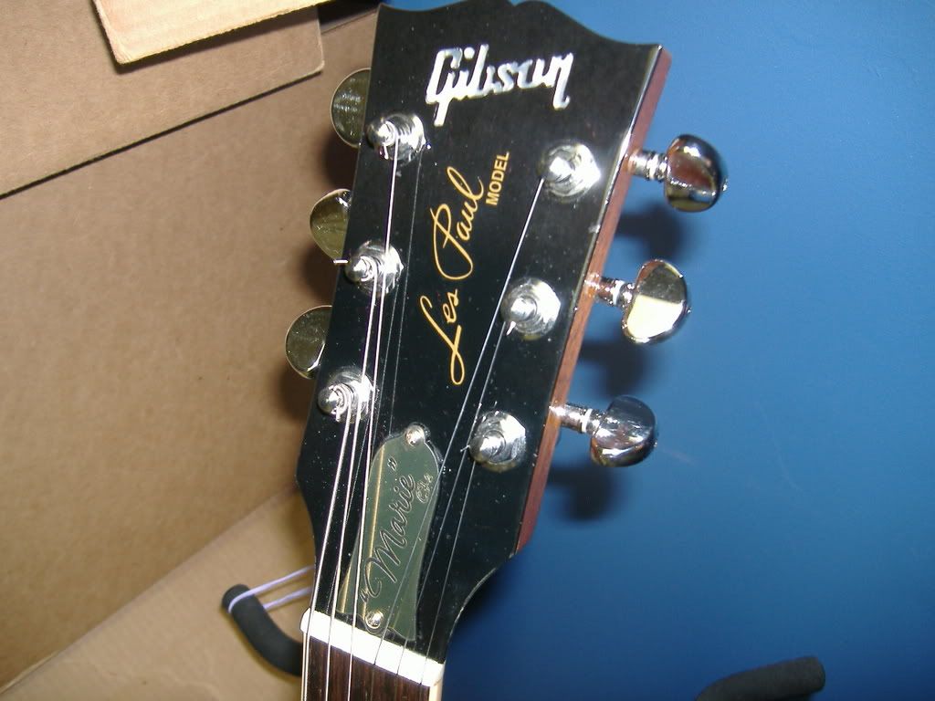 Typical or Gaulded? My nut looks sketchy and need opinions...