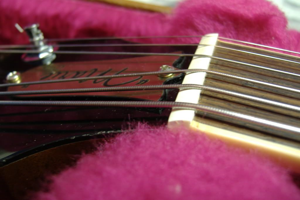 Typical or Gaulded? My nut looks sketchy and need opinions...