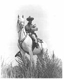 TheLoneRanger.jpg image by margo-059