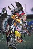 crow-dancer8.jpg image by margo-059