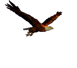 voando.gif image by margo-059