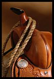 westsaddle.jpg image by margo-059