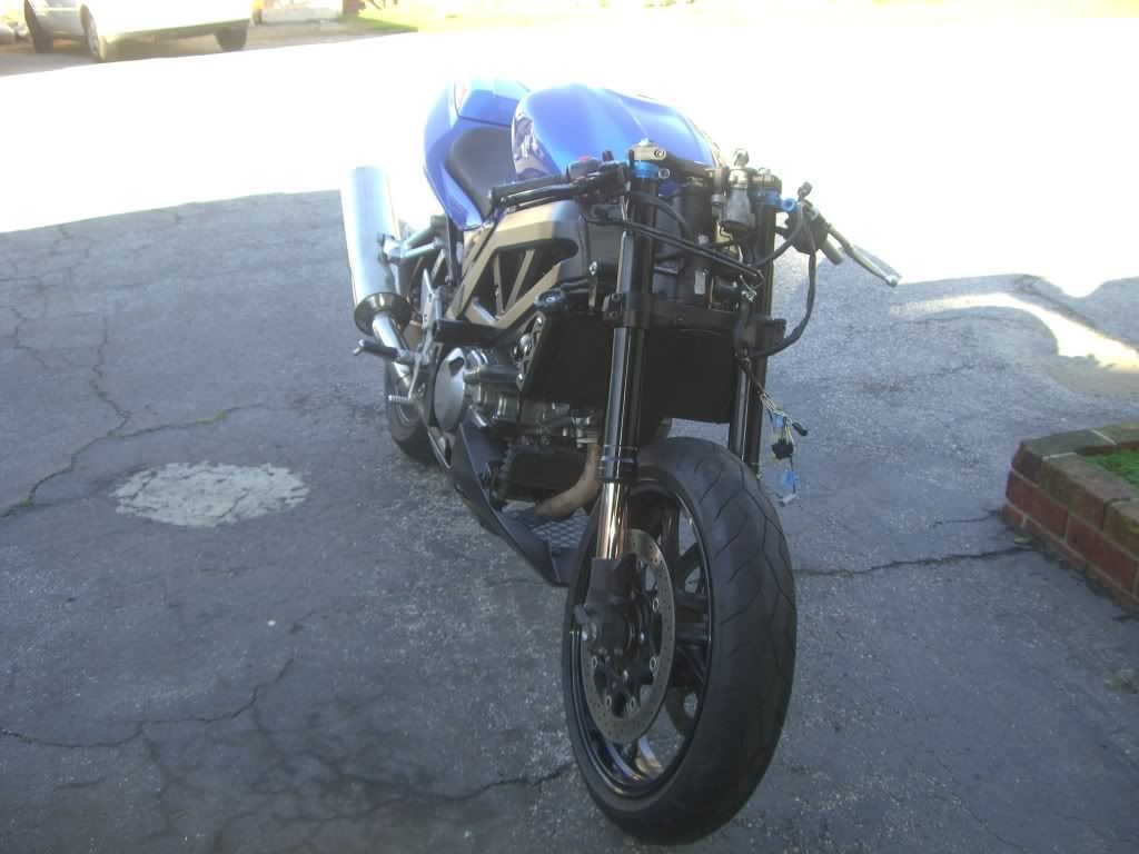 My Naked Suzi Suzuki Sv Riders Forum