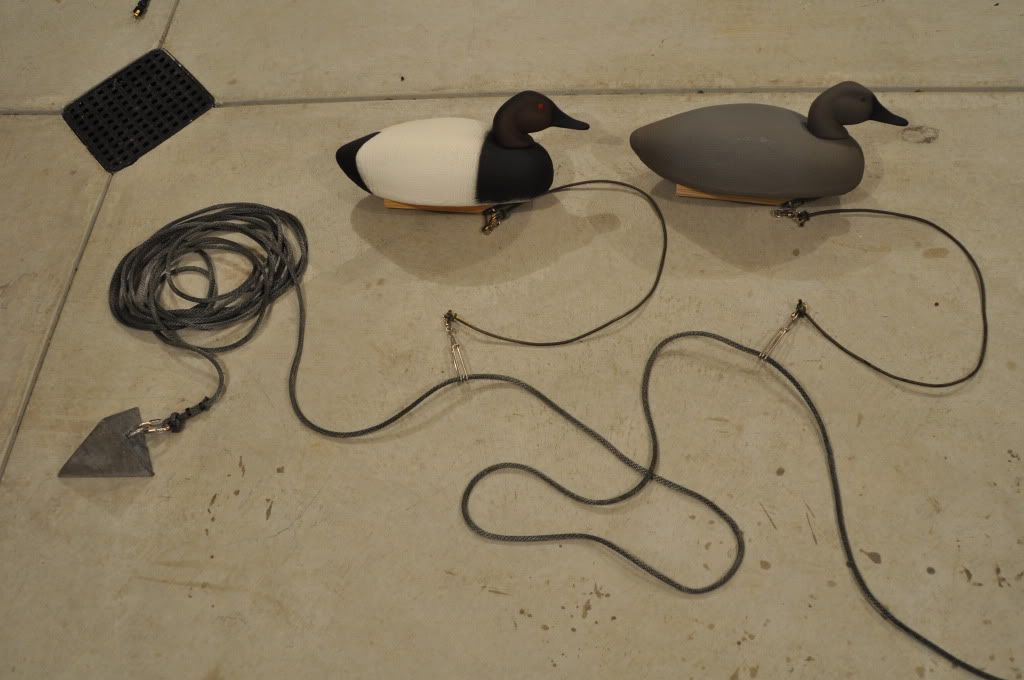 Long Line Setup... Michigan Sportsman Online Michigan Hunting and