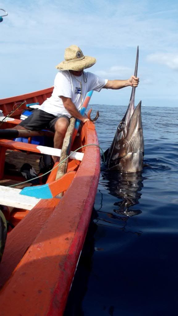 Trolling and Spinning from African Canoe Ghana Page 5 The Hull