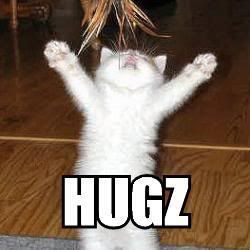hugzkitteh.jpg