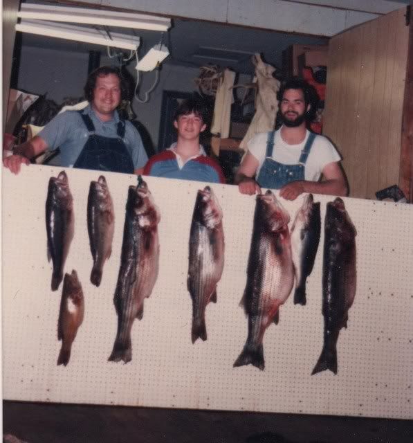 Brosfish1976001.jpg