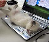 CrashedComputer.jpg image by luvneverfails524