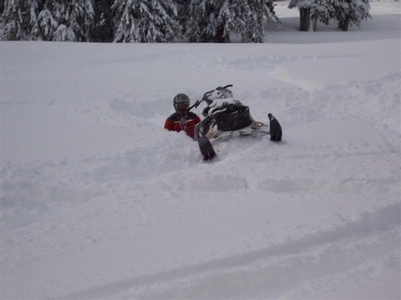 2009_SNOWMOBILING_027Medium.jpg