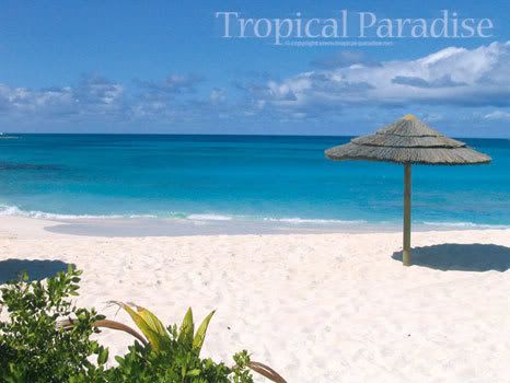 Tropical Paradise Wallpaper. Tropical Paradise Free