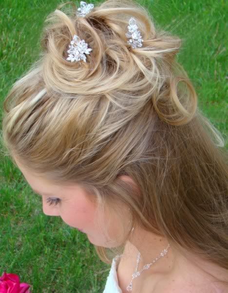 Elegant Crystal Bridal Hair Pins from www.WeddingFactoryDirect.com and Elegance by Carbonneau #1-800-790-4325