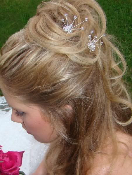 Elegant Crystal Bridal Hair Pins from www.WeddingFactoryDirect.com and Elegance by Carbonneau #1-800-790-4325