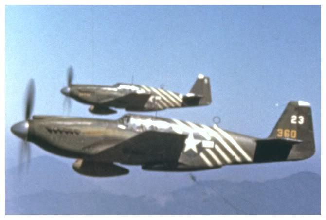 p-51a_petit_c.jpg