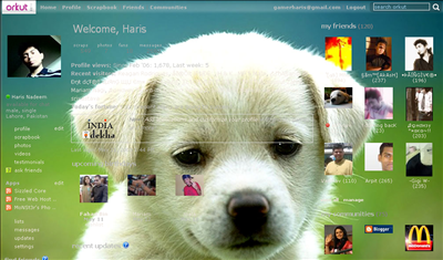 Puppy Orkut theme
