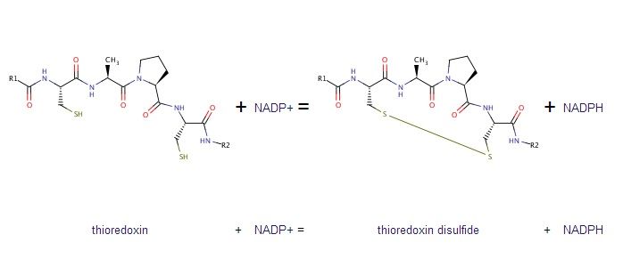 external image Untitled1_zpsd6a4243c.jpg