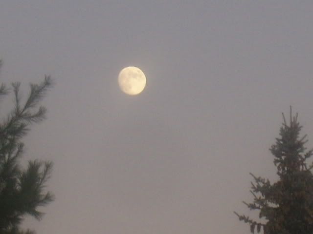 moonagain003.jpg