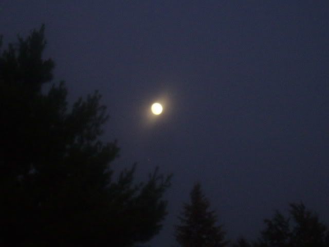 moonagain004.jpg