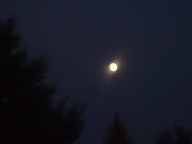 moonagain009-1.jpg