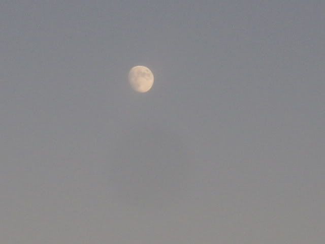 Mmoon003.jpg