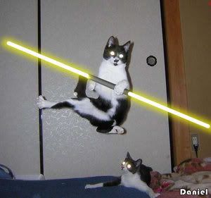 Star_wars_VII__the_cat_returns_by_d.jpg
