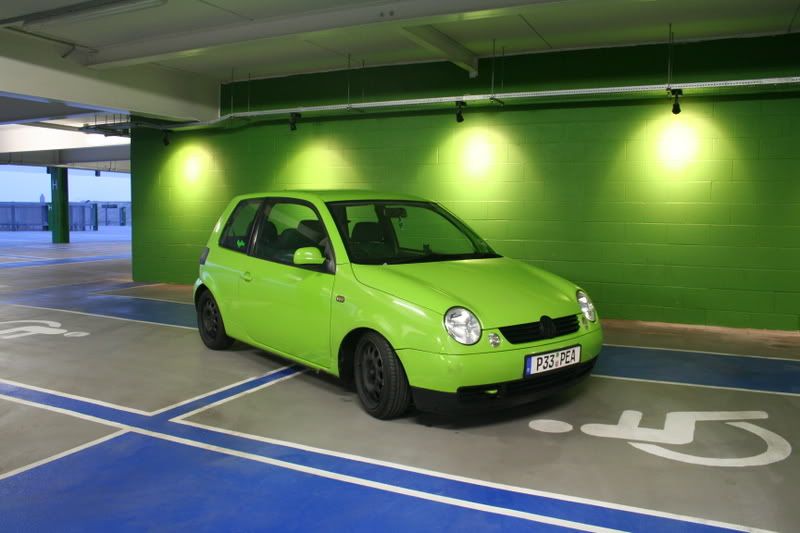 green lupo