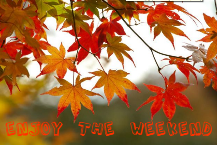 autumn weekend Pictures, Images and Photos