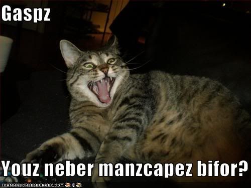 manzcats.jpg