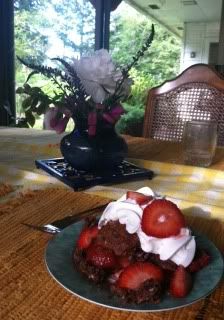 Strawberry Chocolate Shortcake photo 146261DB-orig.jpg