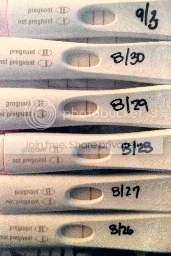 Who has pregnancy test progression pictures?! Show them off here