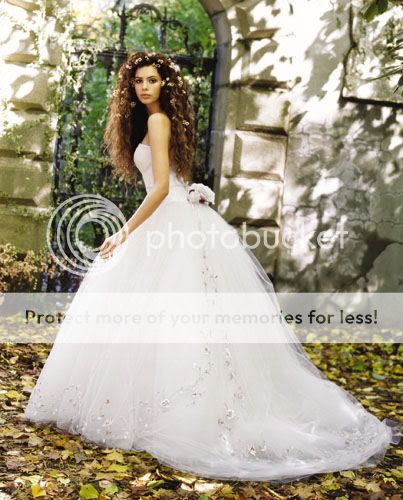 http://i264.photobucket.com/albums/ii175/1234Denise_2008/Dress-7.jpg