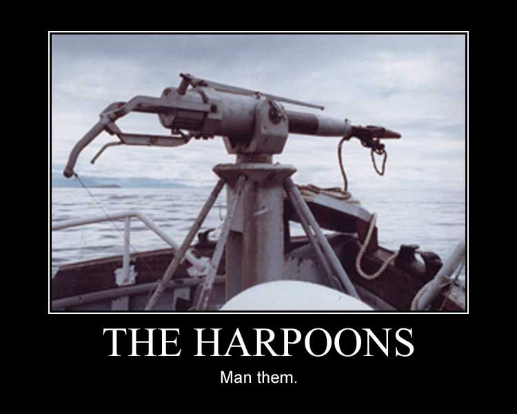 https://i264.photobucket.com/albums/ii176/TTinvestor/the_harpoons.jpg