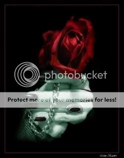 goth rose photo: goth rose 855xyts.jpg