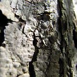 IMG_7958.jpg image by kirina123