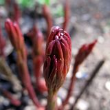 IMG_7987.jpg image by kirina123