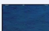 ntupd-1.gif